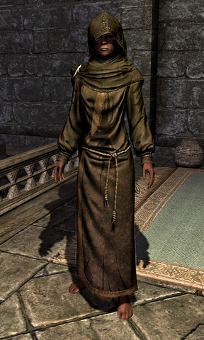 File:Hooded Green Robes 10CFEC.png
