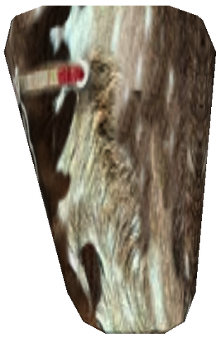 File:Common Pants MW 1e.png