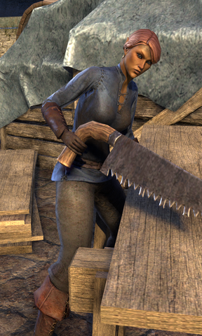 File:Telwyaarie.png