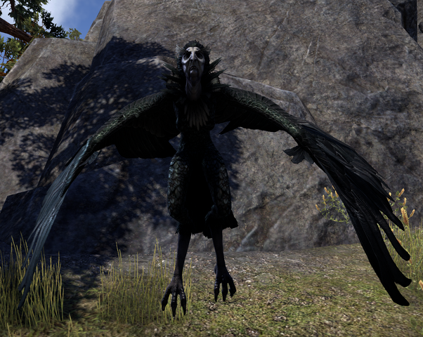 File:ESO Wrothgar Harpy.png