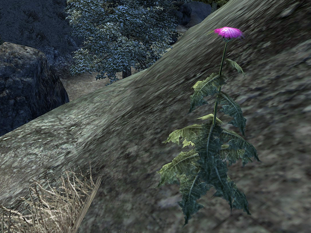File:Milk Thistle.png