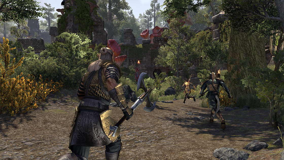 Image - Vvardenfell ESO Screenshot (3).png | Elder Scrolls ...