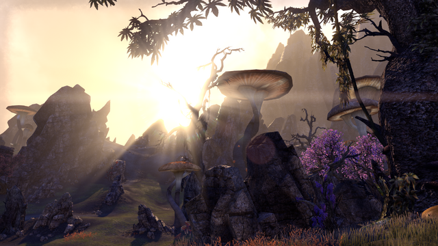 File:Ashen Road.png