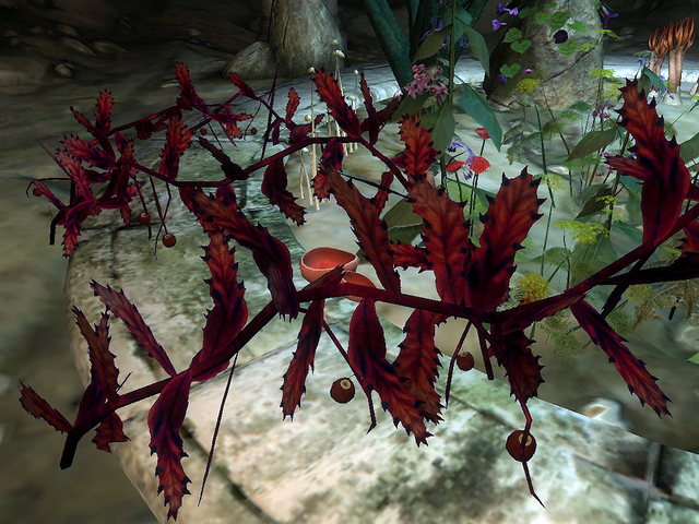 File:Chokeberry.png