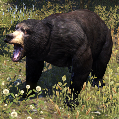 File:ESO Black Bear.png