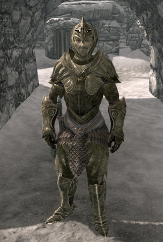 File:Northwatch Guard.png
