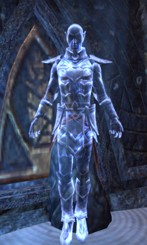 File:Servant of Vivec.png
