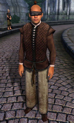 File:TESIV Character Lonely Man.png
