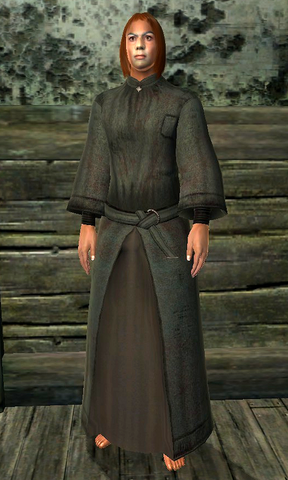 File:Aegis Robe.png