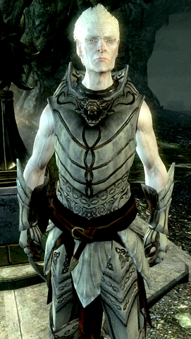 File:KnightPaladinGelebor.png
