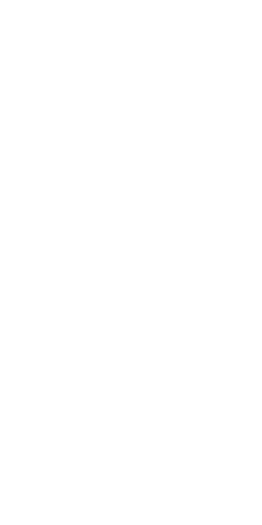 File:Dwemeris T.png