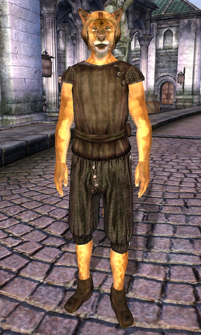 File:Ra'Jhan.png