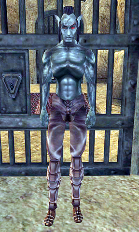 File:Ralyn Farothran.png
