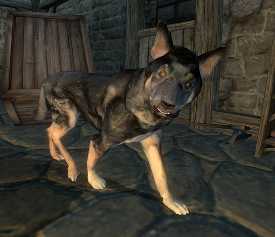 File:Sakeepa's Dog.png