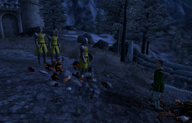 File:Bruma Gate Gate Closed.png