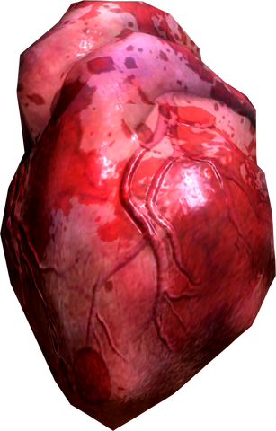 File:Human heart.png