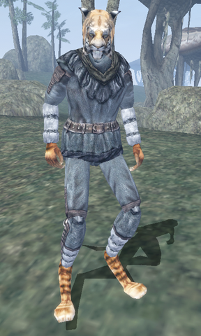 File:S'virr.png