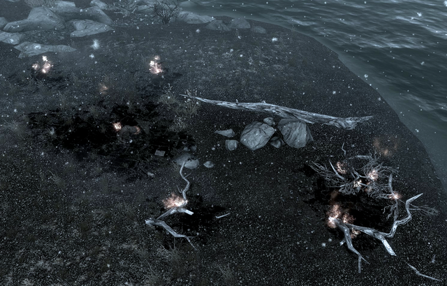 File:Yisra's Beachside Combustion.png