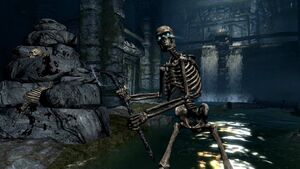 Skeleton (Skyrim).jpg