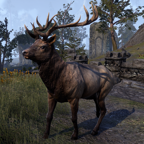 File:ESO Elk.png