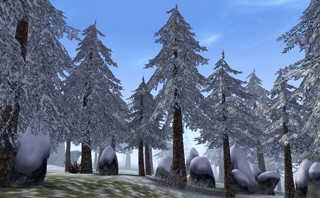 File:Hirstaang Forest.jpg
