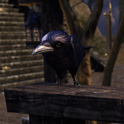 File:ESO Strange Crow.png
