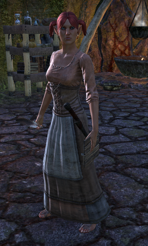 File:Araneth Food-Finder.png