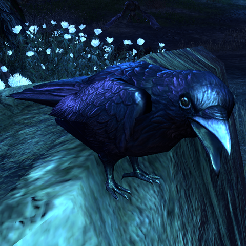 File:ESO Knave of Rooks.png