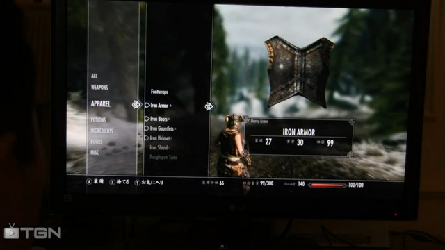 File:Iron Armor.png