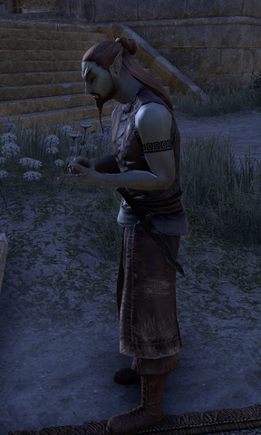 File:Rols Virith.png