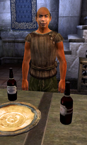 File:Willet.png