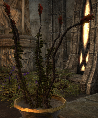 File:Roland's Tear Online.png