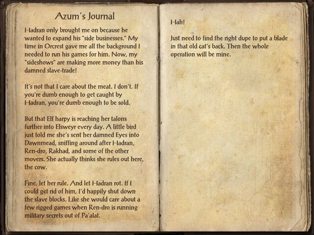 File:Azum's Journal.jpg