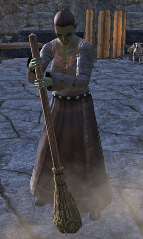 File:Heart-Wife Sholg.png