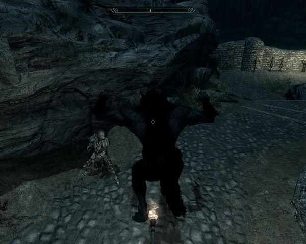 File:Skyrim bug werewolf torch.jpg