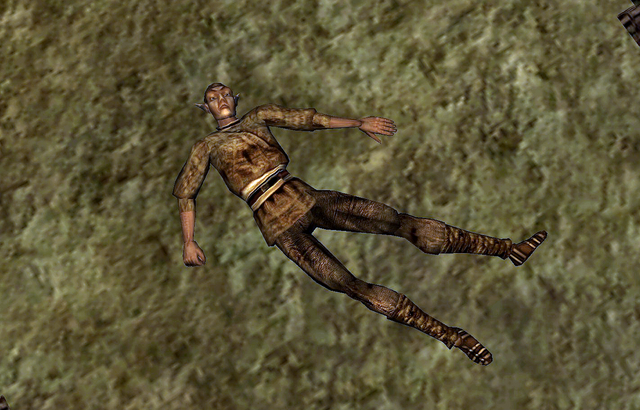 File:Amring.png