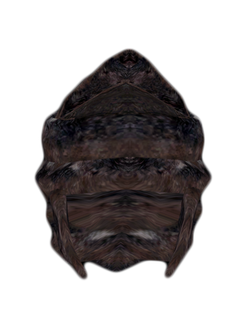 File:Snow Wolf Helmet.png
