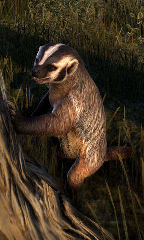 File:Badger (Online).png