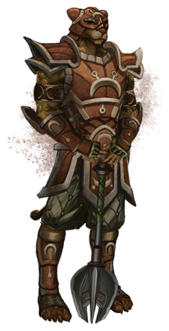 File:Khajiit medium armor.png