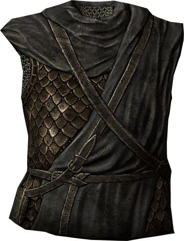 File:FalkreathGuardsArmor.png