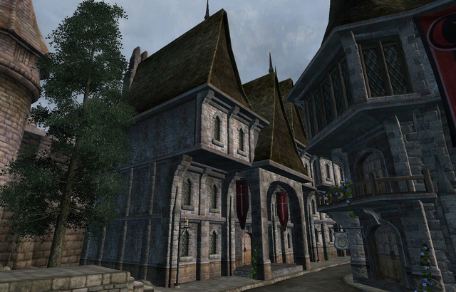 File:Skingrad Fighters Guild.png