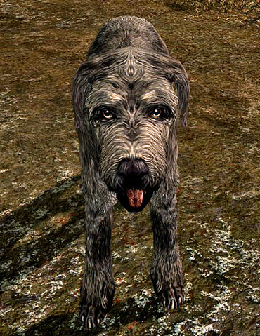 File:Dog Skyrim.png