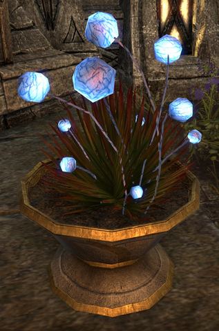 File:Gleamblossom Online.png