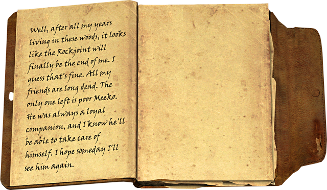 File:Journal meeko 1-2.png