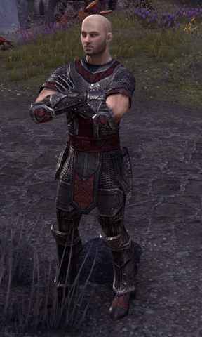 File:Sergeant Gjorring.png