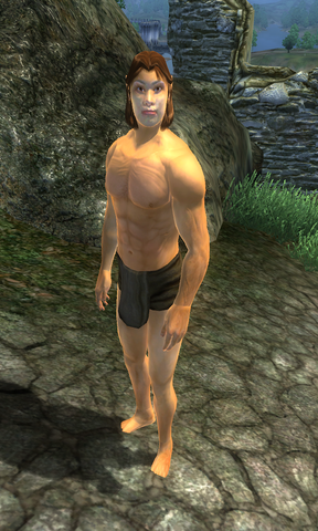 File:TestTakeCoverCaster1.png