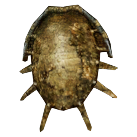 File:BonemoldshieldMorrowind.png