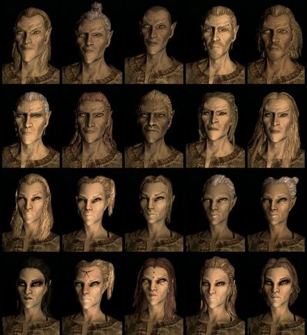 File:Altmer normal.jpg