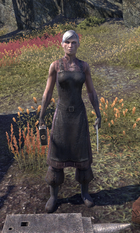 File:Bonwyn Fireforge.png