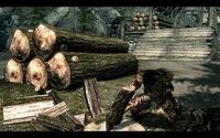 Woodchopping.jpg